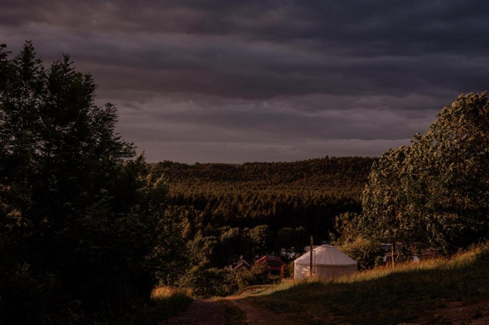 Jurty Z Widokiem, Prywatna Balia- Dzikolas Glamping Krasnobród Buitenkant foto