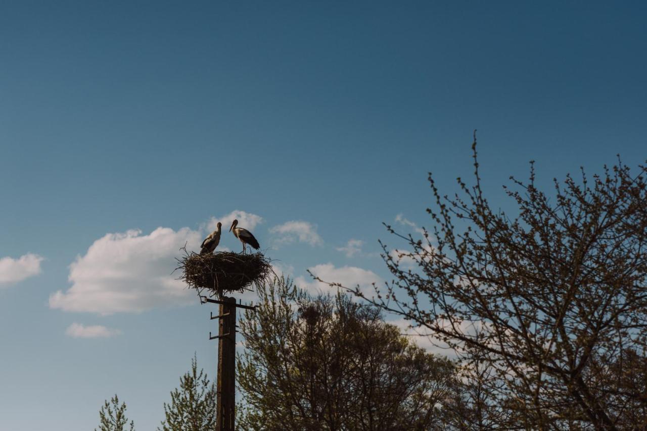 Jurty Z Widokiem, Prywatna Balia- Dzikolas Glamping Krasnobród Buitenkant foto
